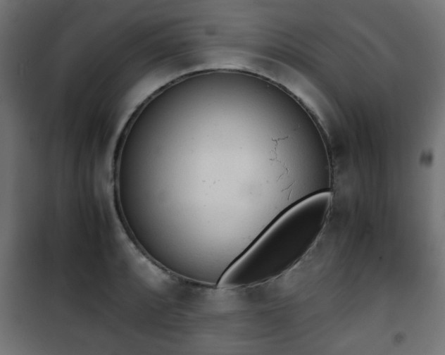 X0000101391088200807141127