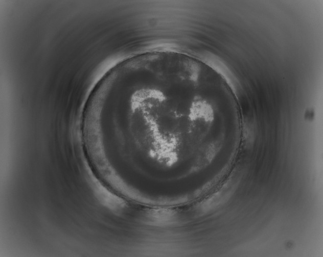 X0000101391090200807141127