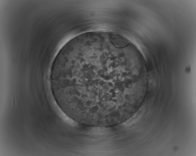 X0000101391091200807141127