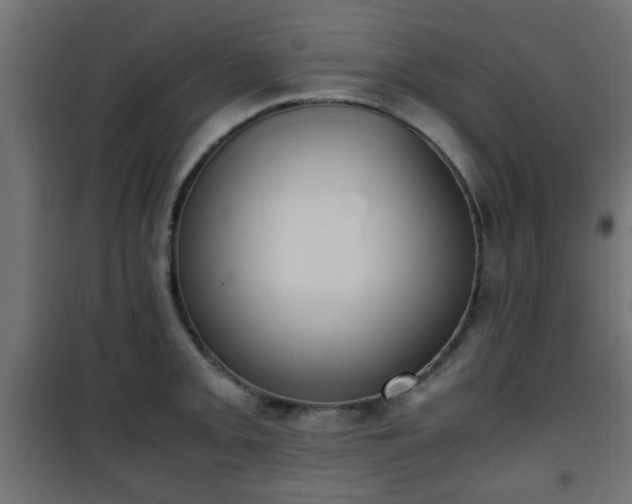 X0000101391093200807141127