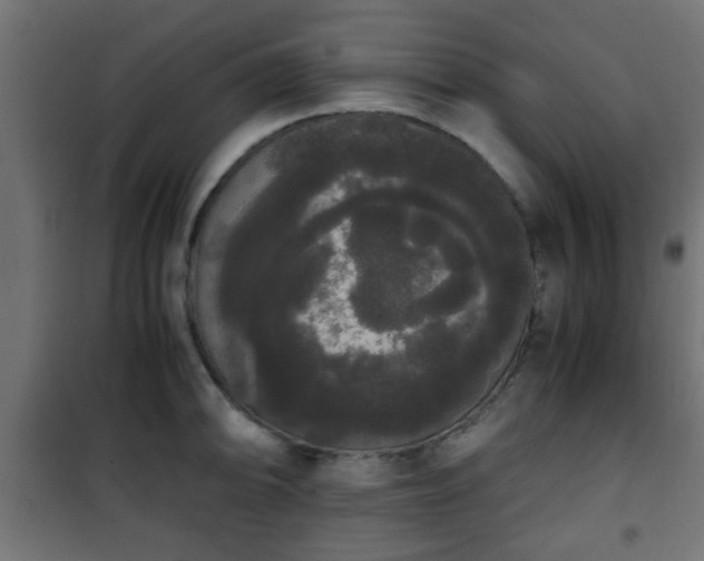 X0000101391094200807141127