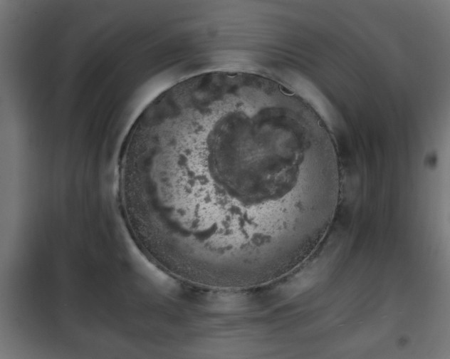 X0000101391095200807141127