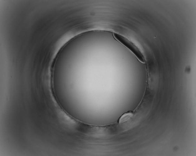 X0000101391096200807141126