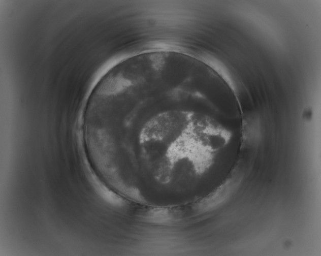 X0000101391098200807141126