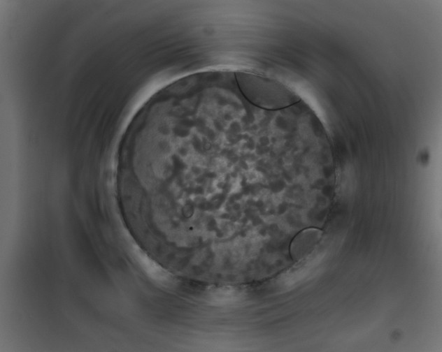 X0000101391099200807141126