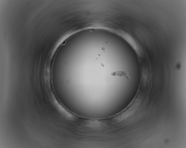 X0000101391100200807141126