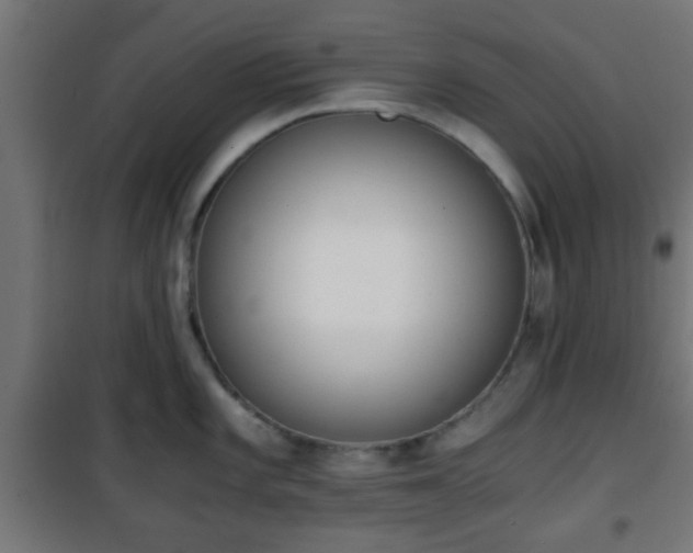 X0000101391101200807141126