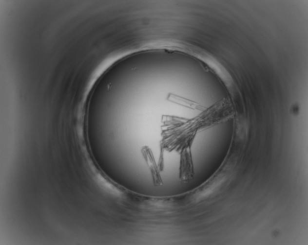 X0000101391102200807141126