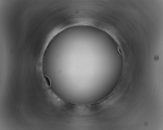 X0000101391104200807141126