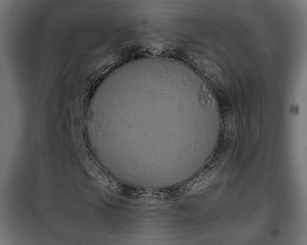 X0000101391105200807141126