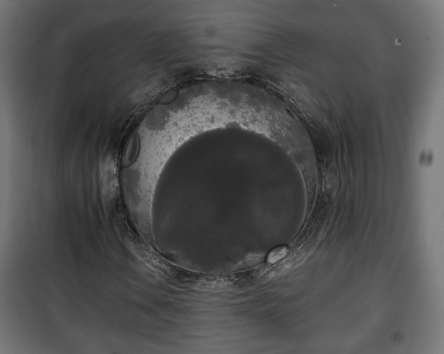 X0000101391106200807141126