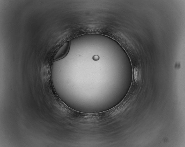 X0000101391107200807141126