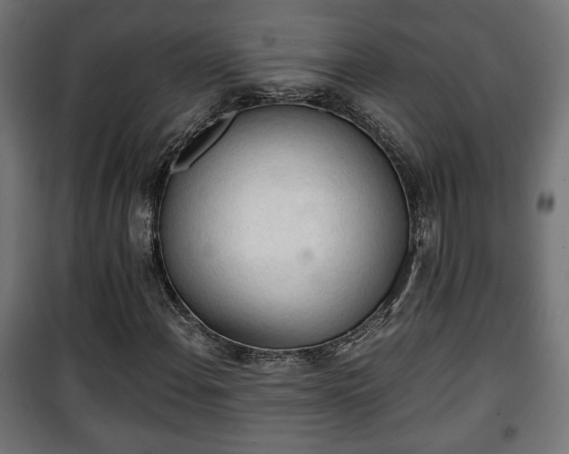 X0000101391108200807141126