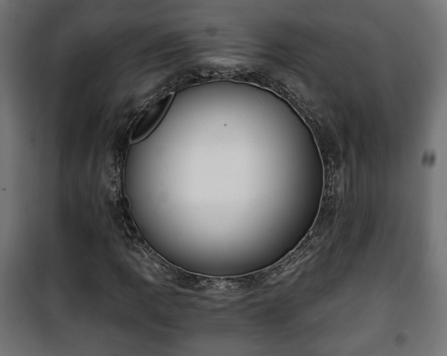 X0000101391109200807141126