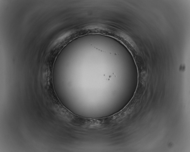 X0000101391111200807141126