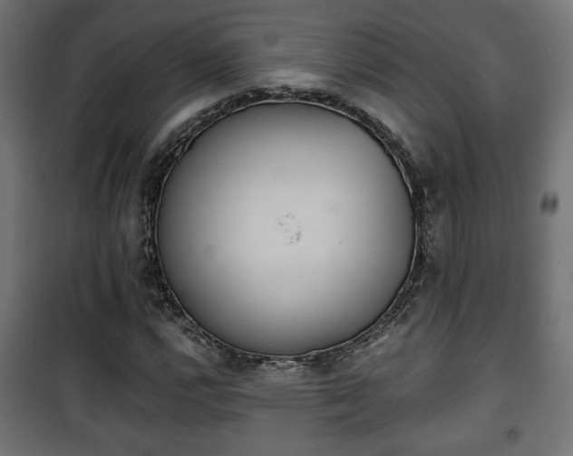 X0000101391112200807141126