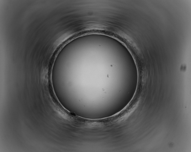 X0000101391113200807141126