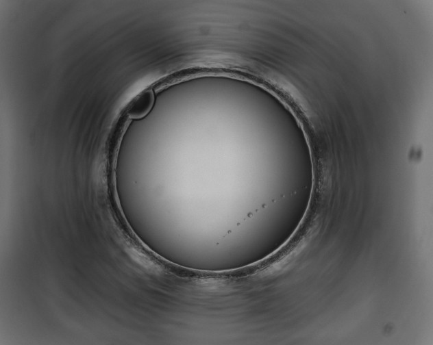 X0000101391114200807141126