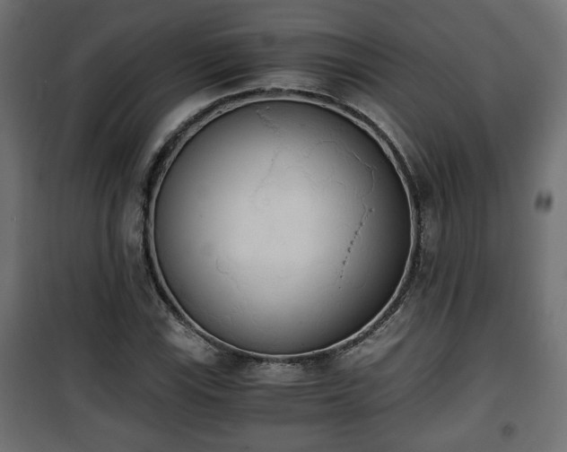 X0000101391115200807141126