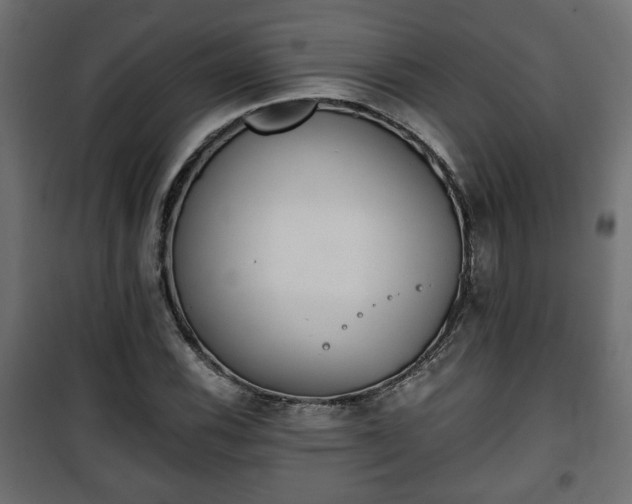 X0000101391116200807141126