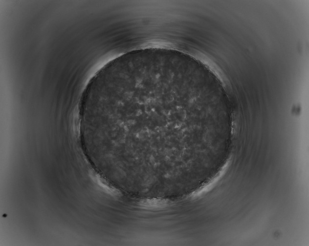 X0000101391117200807141126