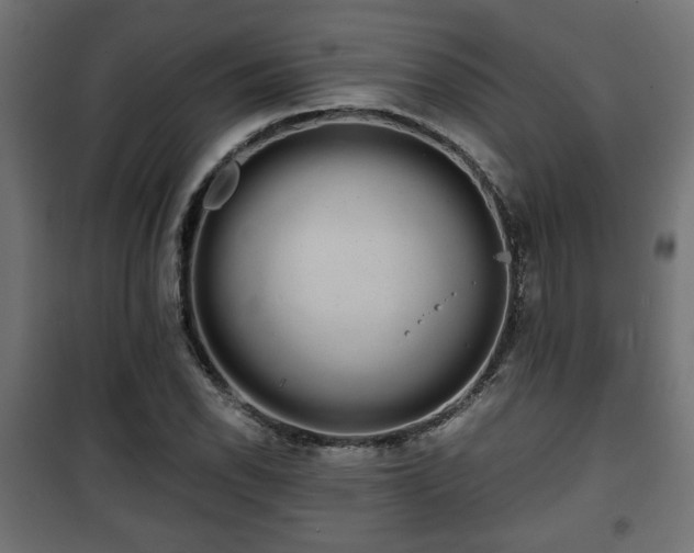 X0000101391118200807141126