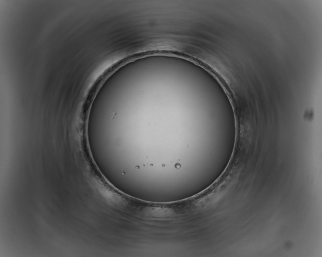 X0000101391119200807141126