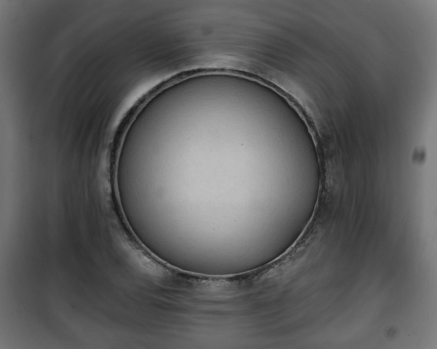 X0000101391120200807141126