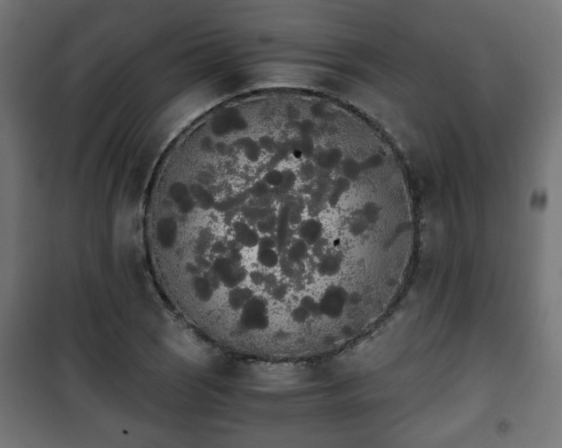 X0000101391121200807141126