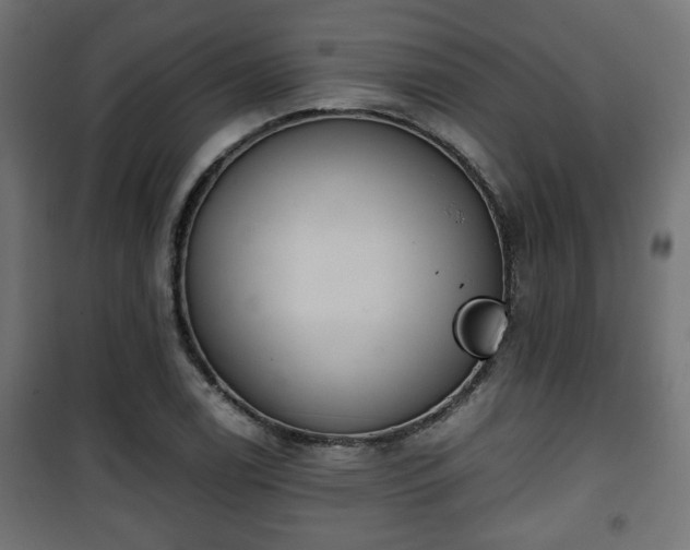 X0000101391122200807141126