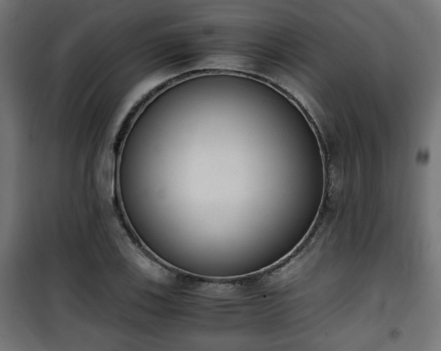 X0000101391123200807141126