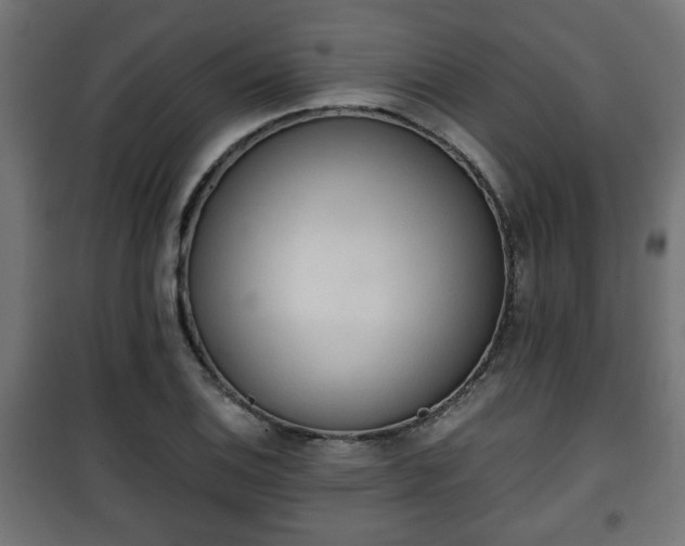 X0000101391124200807141126