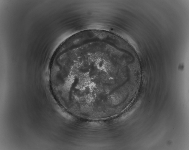 X0000101391125200807141126