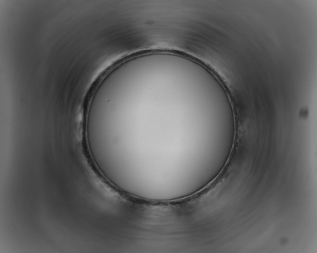 X0000101391126200807141126