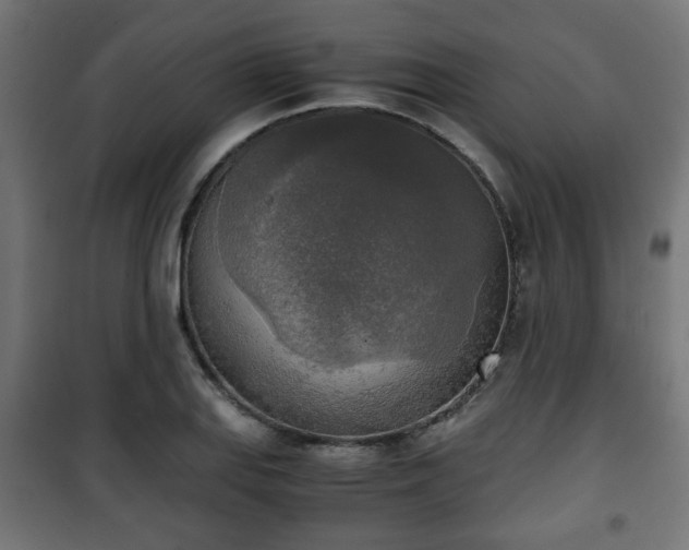 X0000101391127200807141126