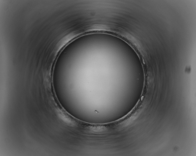 X0000101391129200807141126