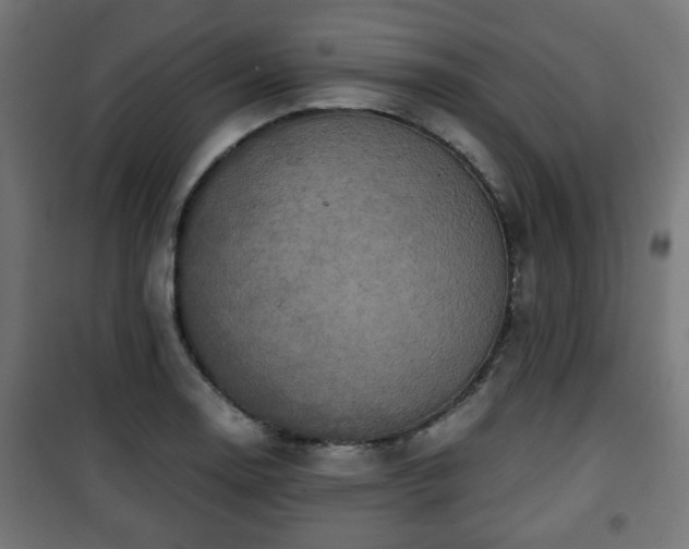 X0000101391130200807141126