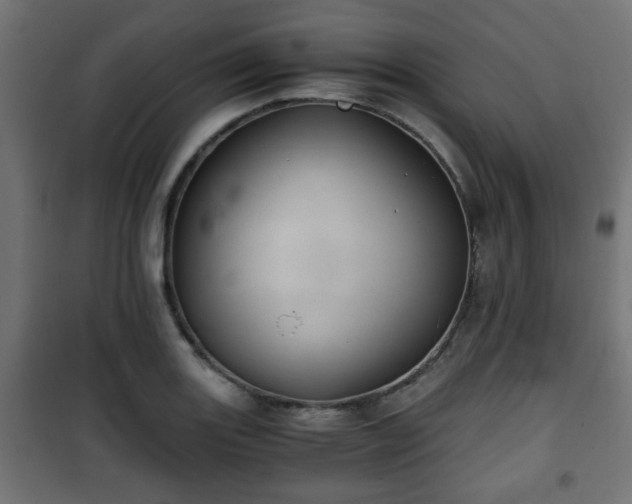 X0000101391131200807141126