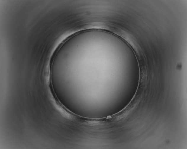 X0000101391132200807141126