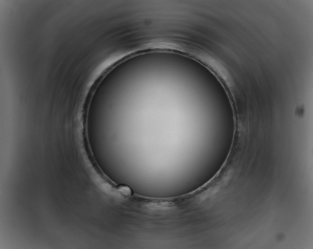 X0000101391133200807141126