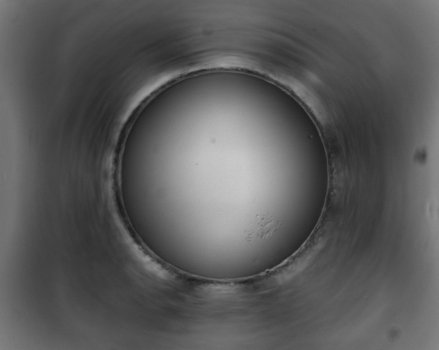 X0000101391134200807141126