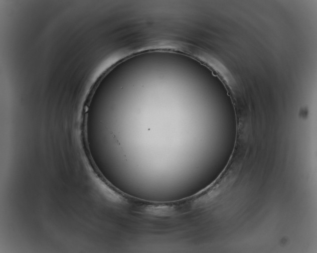 X0000101391135200807141126