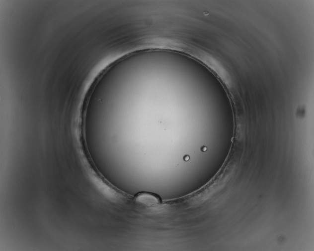 X0000101391136200807141126