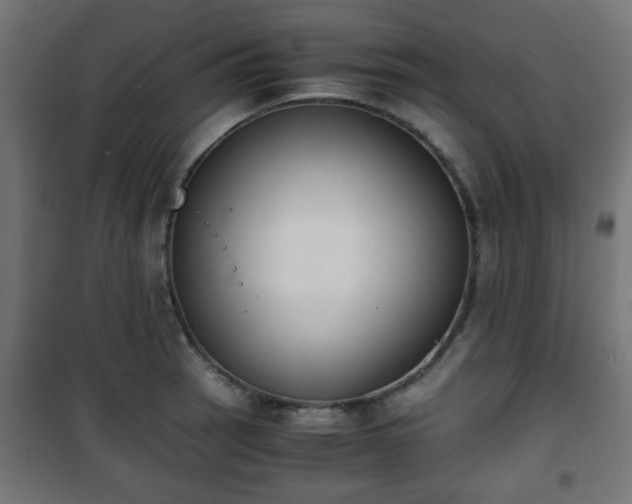 X0000101391137200807141126