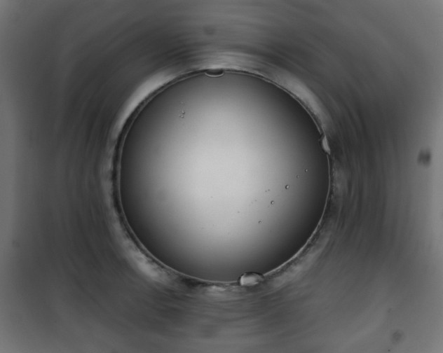 X0000101391138200807141126