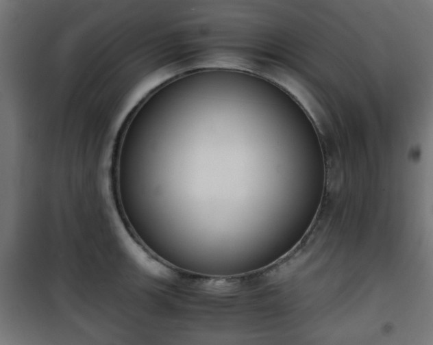 X0000101391139200807141126