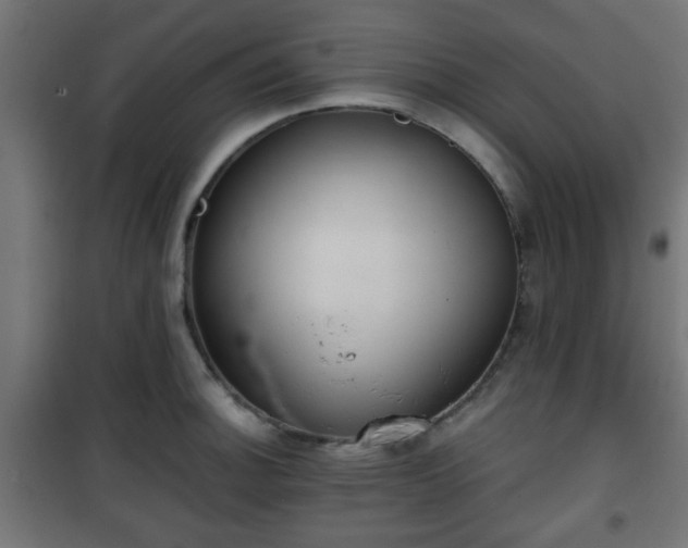 X0000101391140200807141126