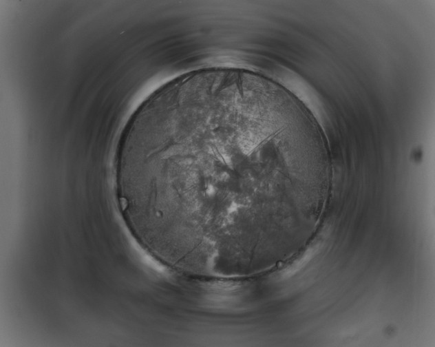 X0000101391141200807141126
