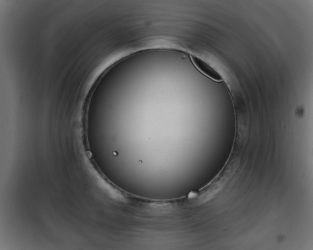 X0000101391142200807141126