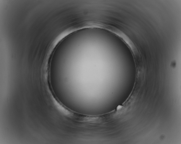 X0000101391143200807141126